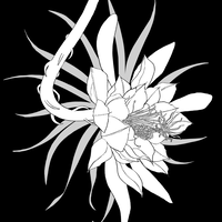 niimura