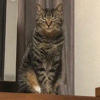 くれあ