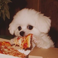 inu