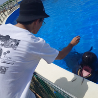 島豆腐lover