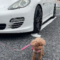 あっちゃん999