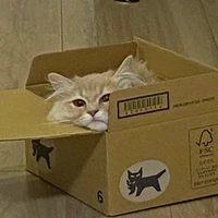 ねんね