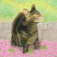 ねこ
