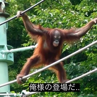 萎えトル