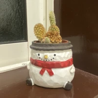 おばあちゃんのサボテン