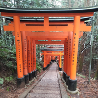 なつきどん