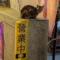 なす