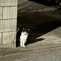 春