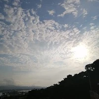 くまたろ