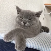 ニー