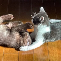 ひろゆき