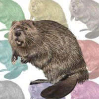 ジャスティンビーバー