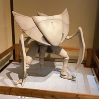 タイヨウ