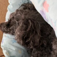 あめ