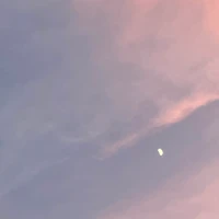 希