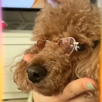 うにこ
