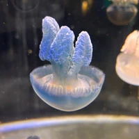 竹下登
