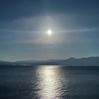 どんぐり太郎