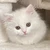 えり