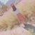 みずか