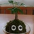 たまちゃん