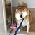 あまくさ三郎