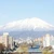 AtsukoKurauchi