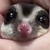 つもろく