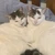 かねこ