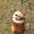 ホワ