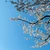 summer_wind3012