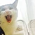 wataco