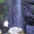 YutaTakeuchi