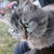 Tom