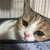ゆらぎ