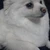 ふぉい