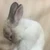 みぃ