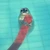 おそばにくまん