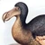 DoDo
