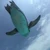 舞です