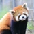 Ryono