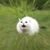 もす