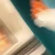 ナヌヌ子