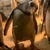 ウォウ