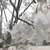 悠