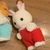 ちべすなちゃん