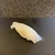 アベ