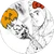 はぬぬこ