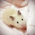 kinami