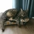 yuko